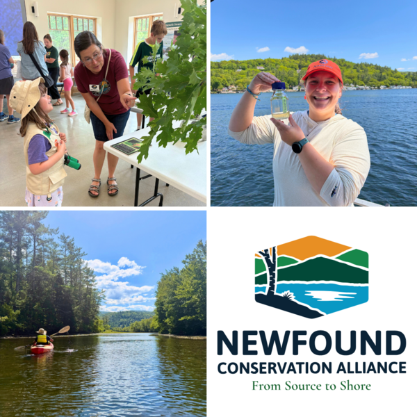 A collage showing a staff member holding a water sample, an educator pointing out a caterpillar to a child, a paddler enjoying Grey Rocks, and the Newfound Conservation Alliance logo