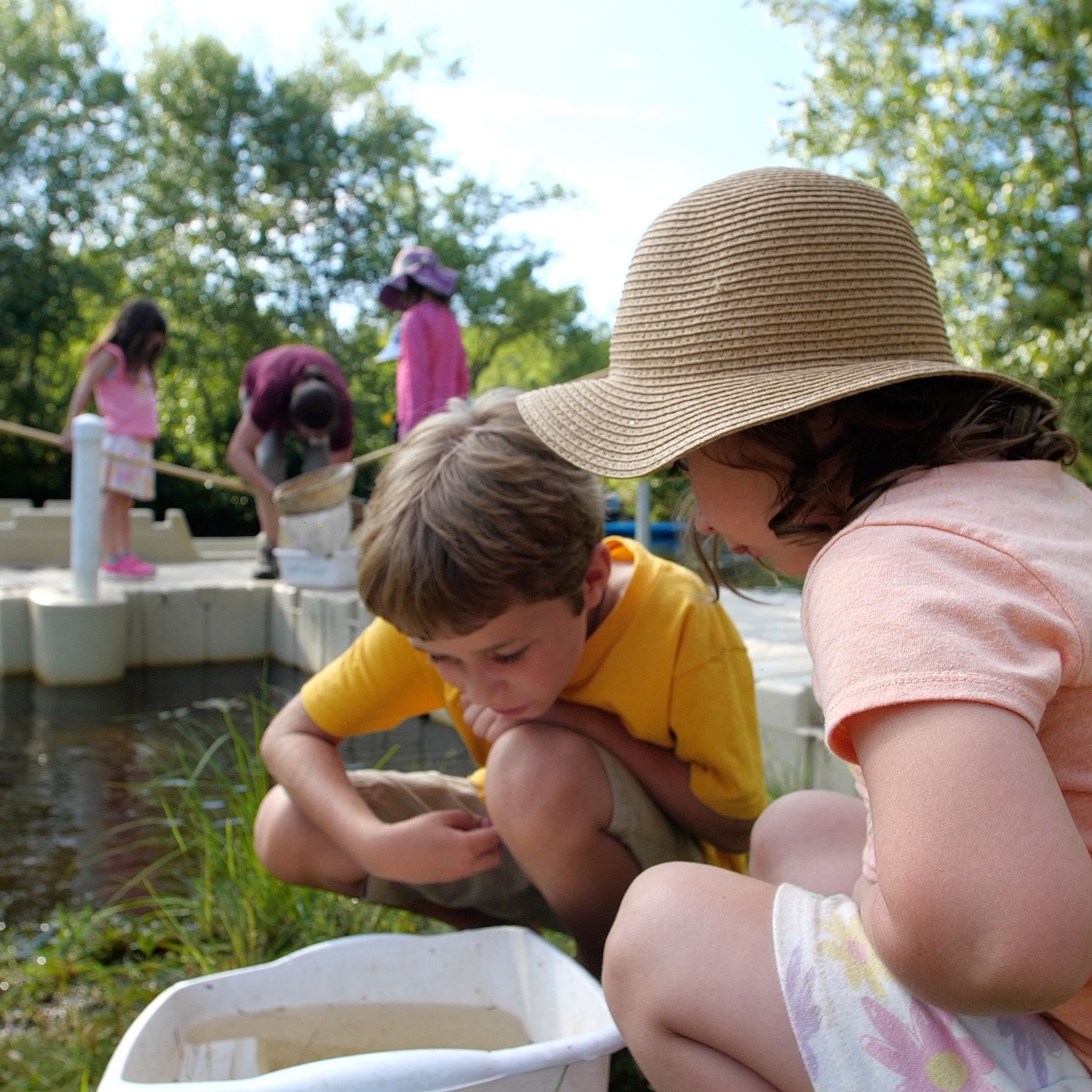 Children look at aquatic invertebrates during a nature exploration event.