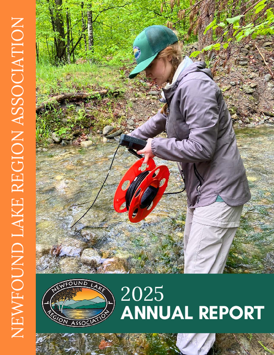 Image of the front cover of the 2025 Annual Report.