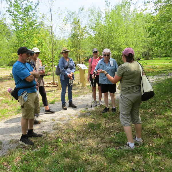  A group listens to a naturalist during a spring wildflower walk
