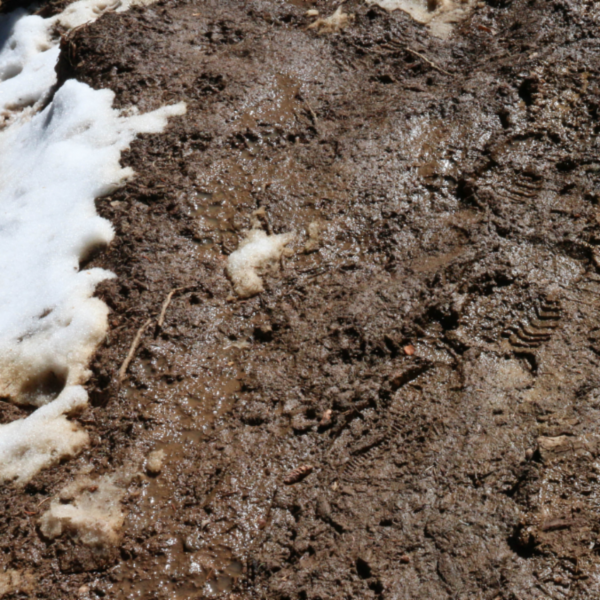 Boot prints show on a muddy trail in early spring.