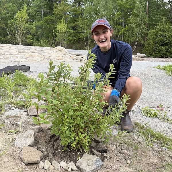 AmeriCorps Steward installs native plants at Grey Rocks Conservation Center