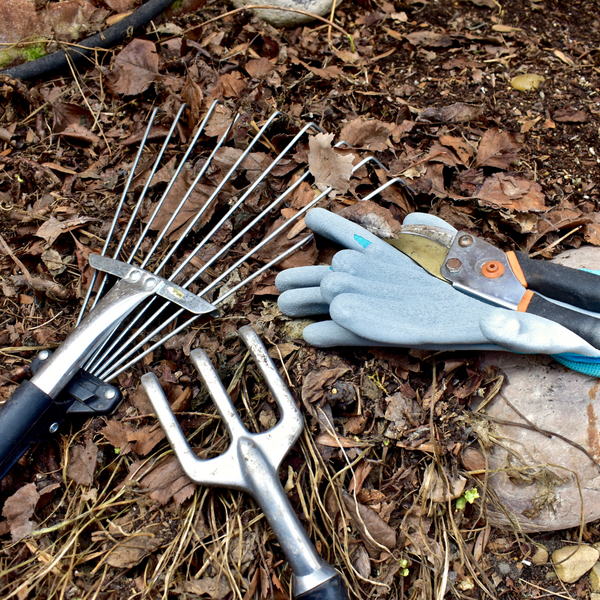 gardening tools lie in a pile of leaves