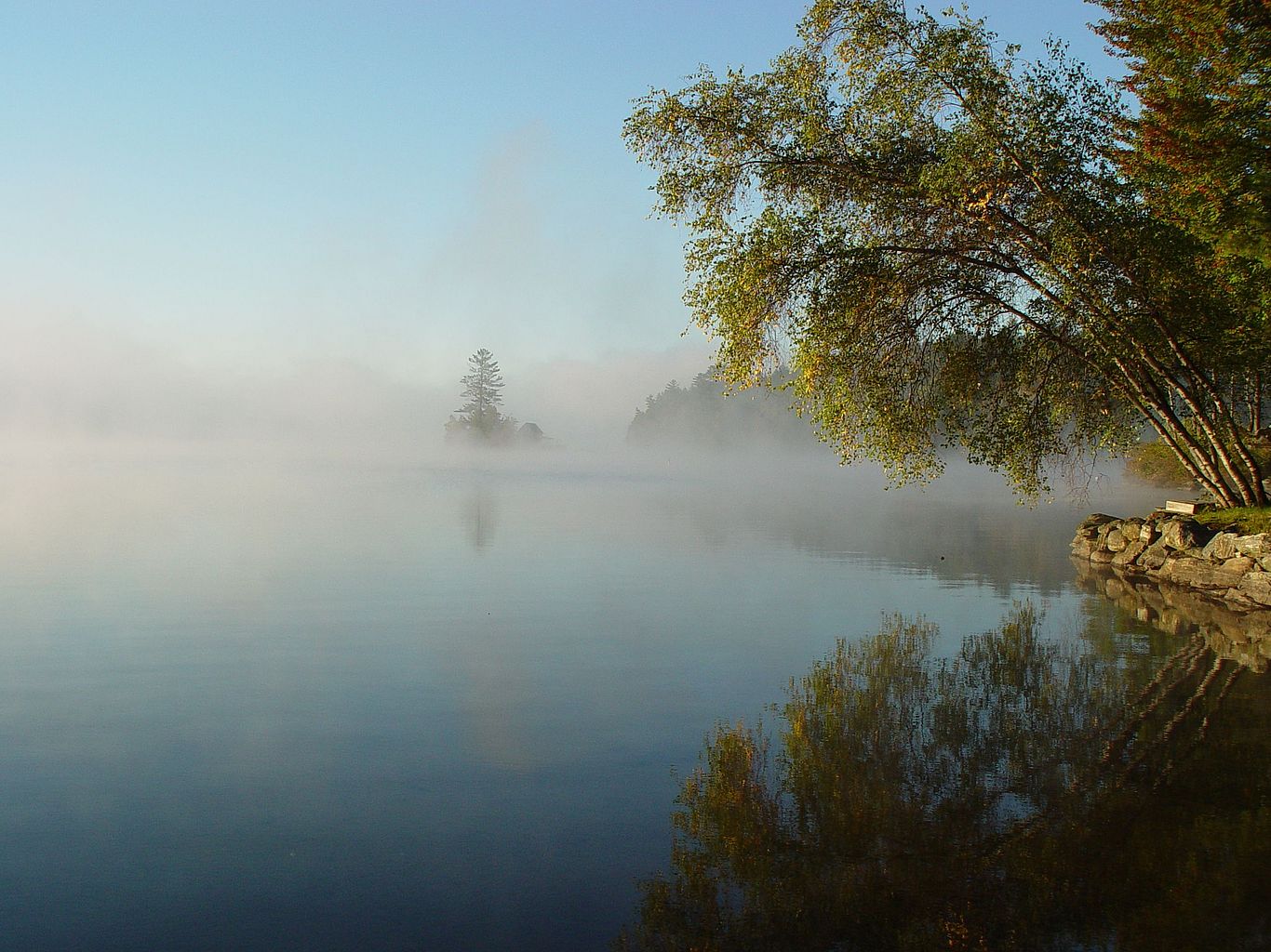 Loon Island reflection of Birch trees on the water and fog