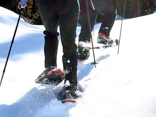 People snowshoeing