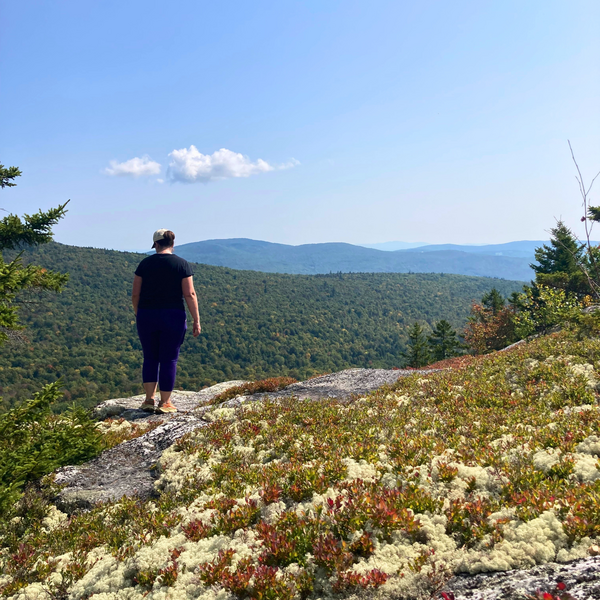 A photo of a hiker looking out over hills, with colorful lichen in the foreground.