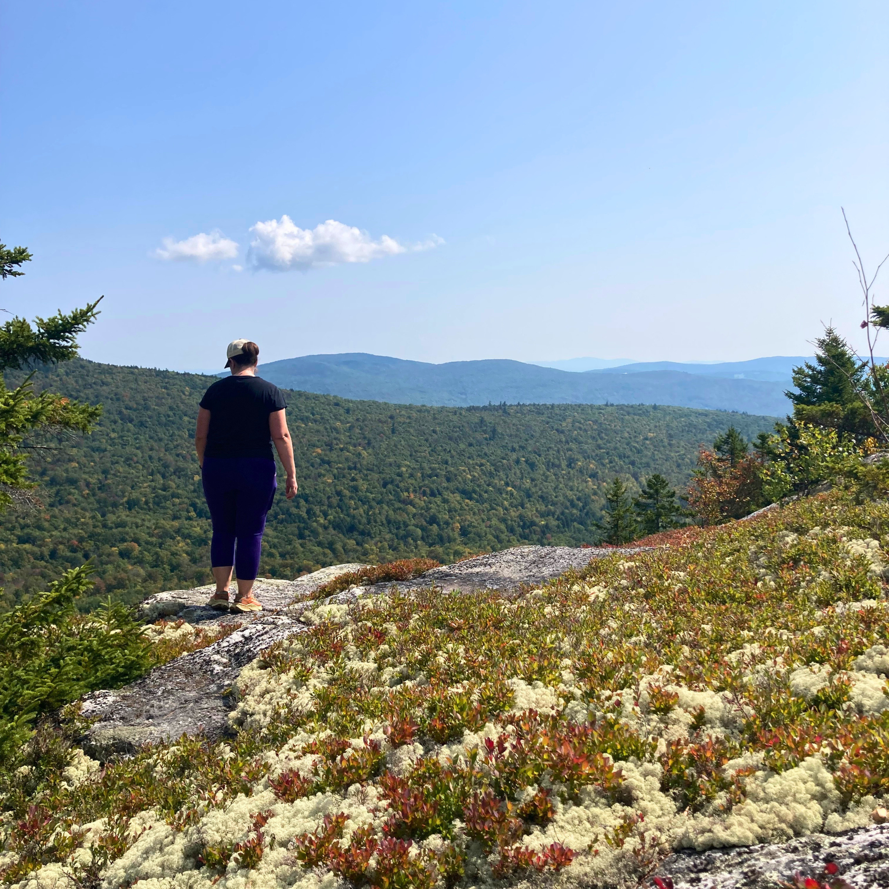 A photo of a hiker looking out over hills, with colorful lichen in the foreground.