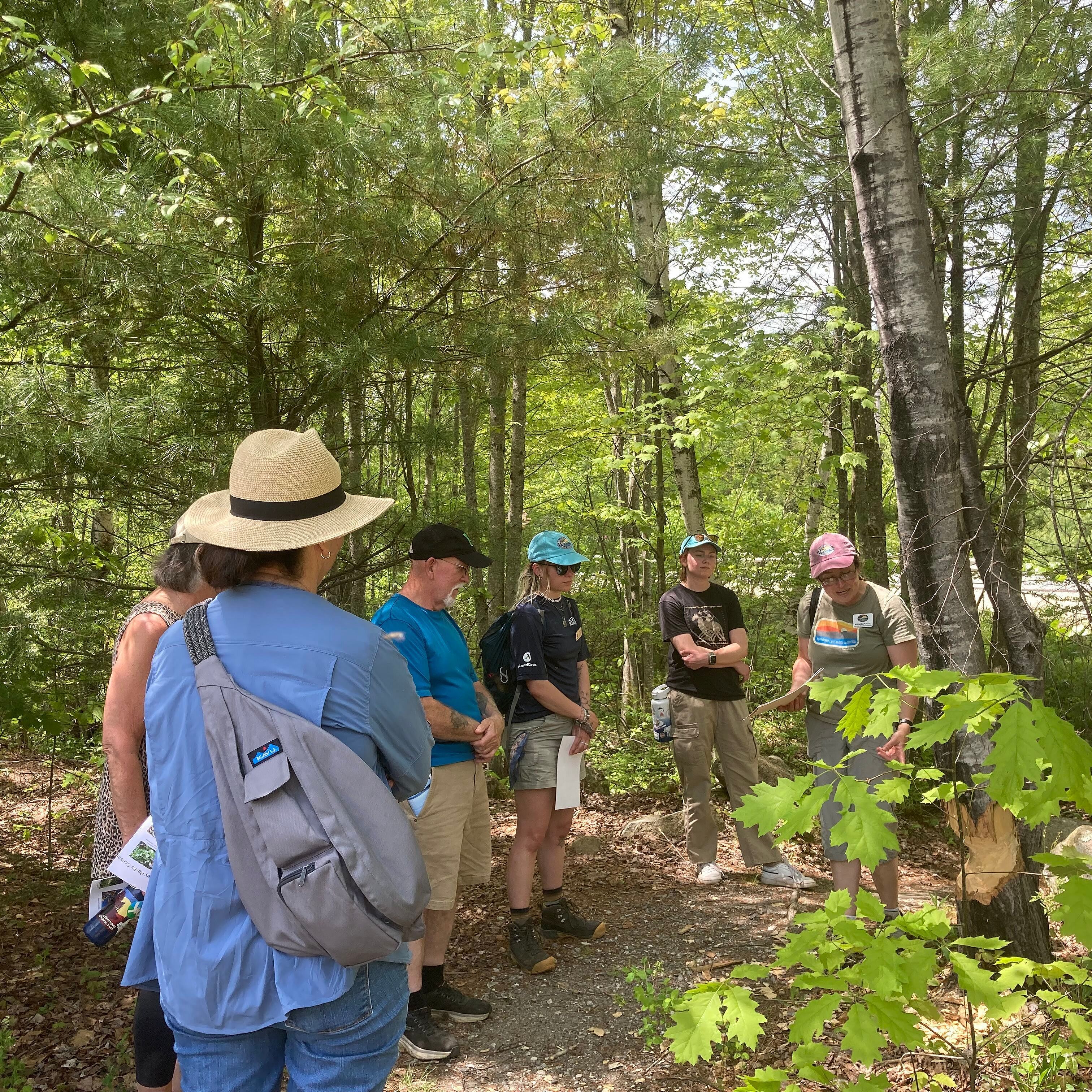 a group of adults join a nature walk