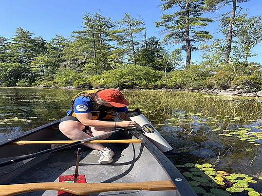 A Weed Watcher sitting in a canoe inspects plant growth below the surface using a view finder.