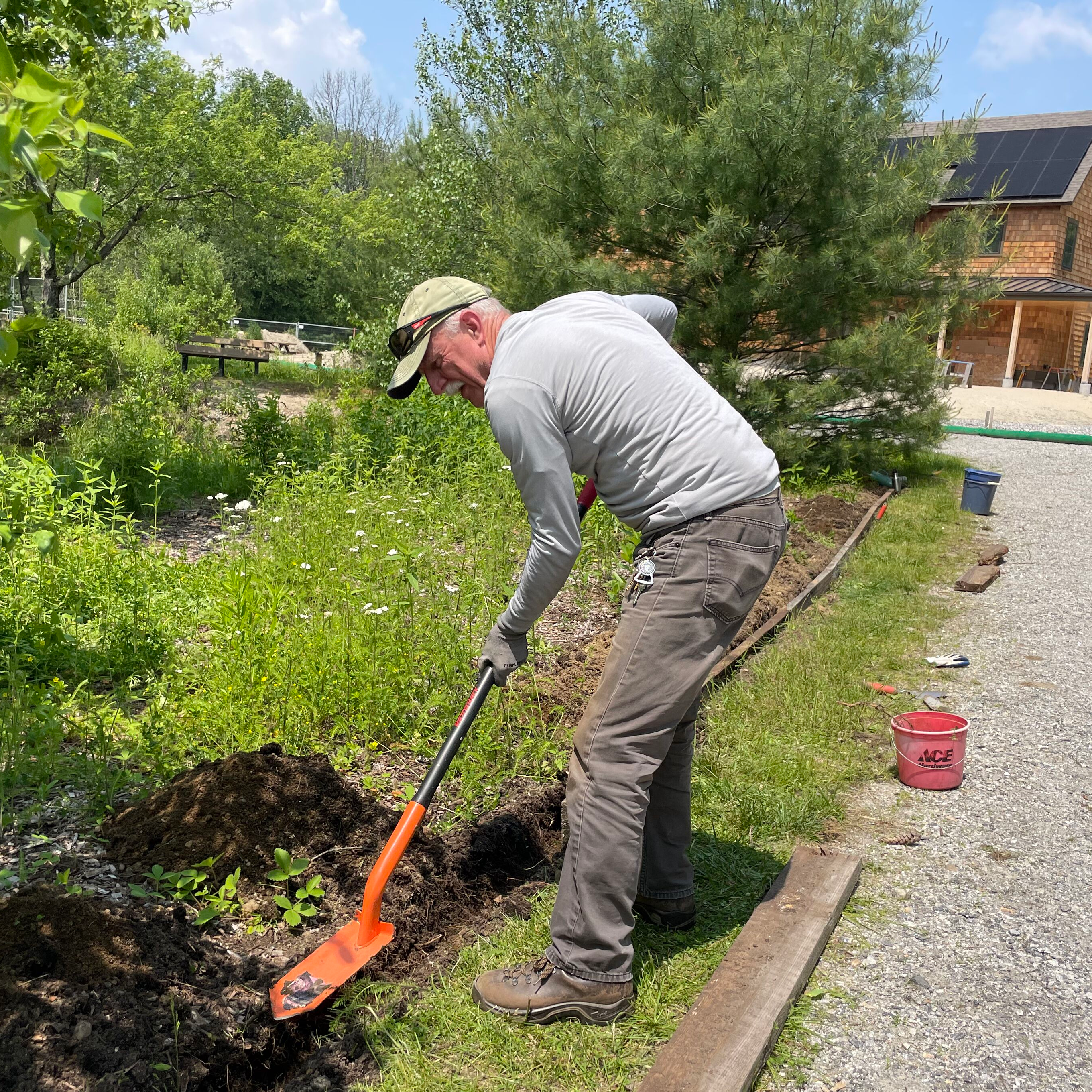 volunteer gardening