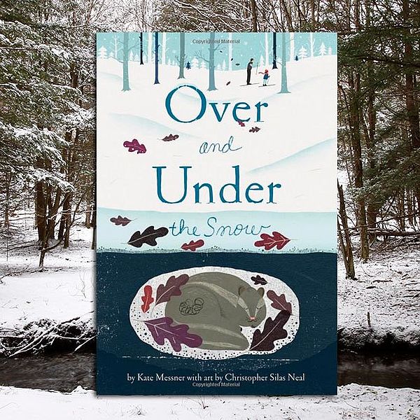 Over and Under the Snow Book Cover