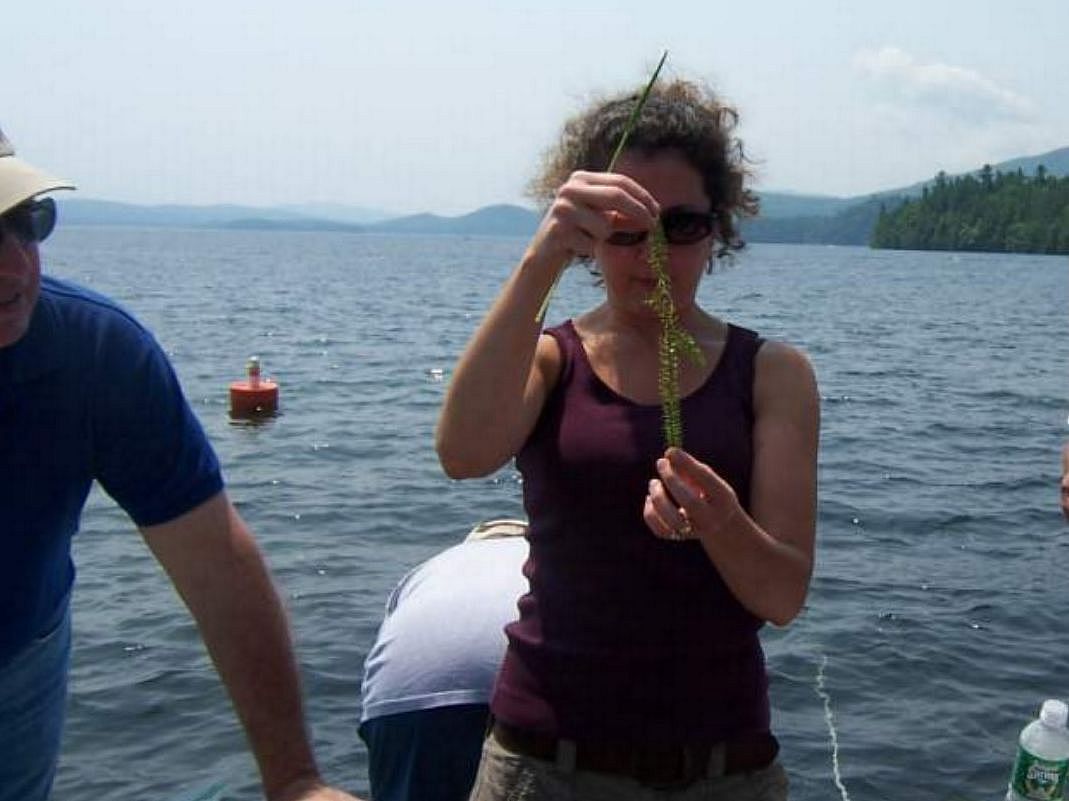 A person on a boat looking at a potentially invasive aquatic plant