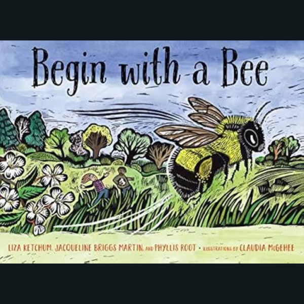 Begin with a Bee book cover.