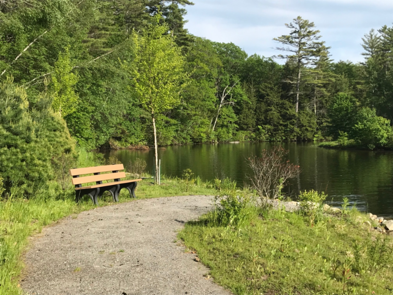 Park bench on a trail next to the lake