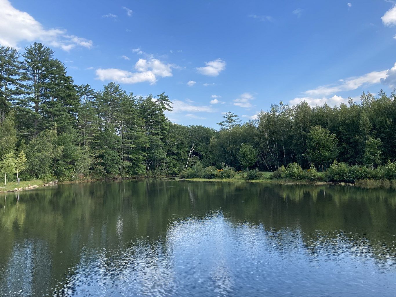 blue sky over lake