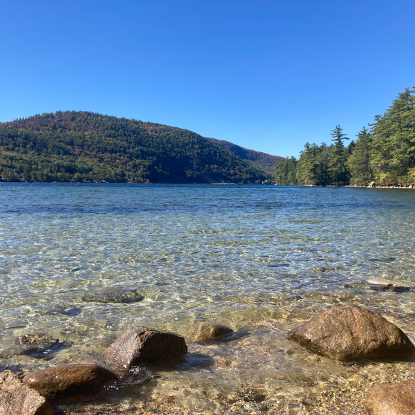The view looking North across Newfound Lake from Wellington State Park beach.