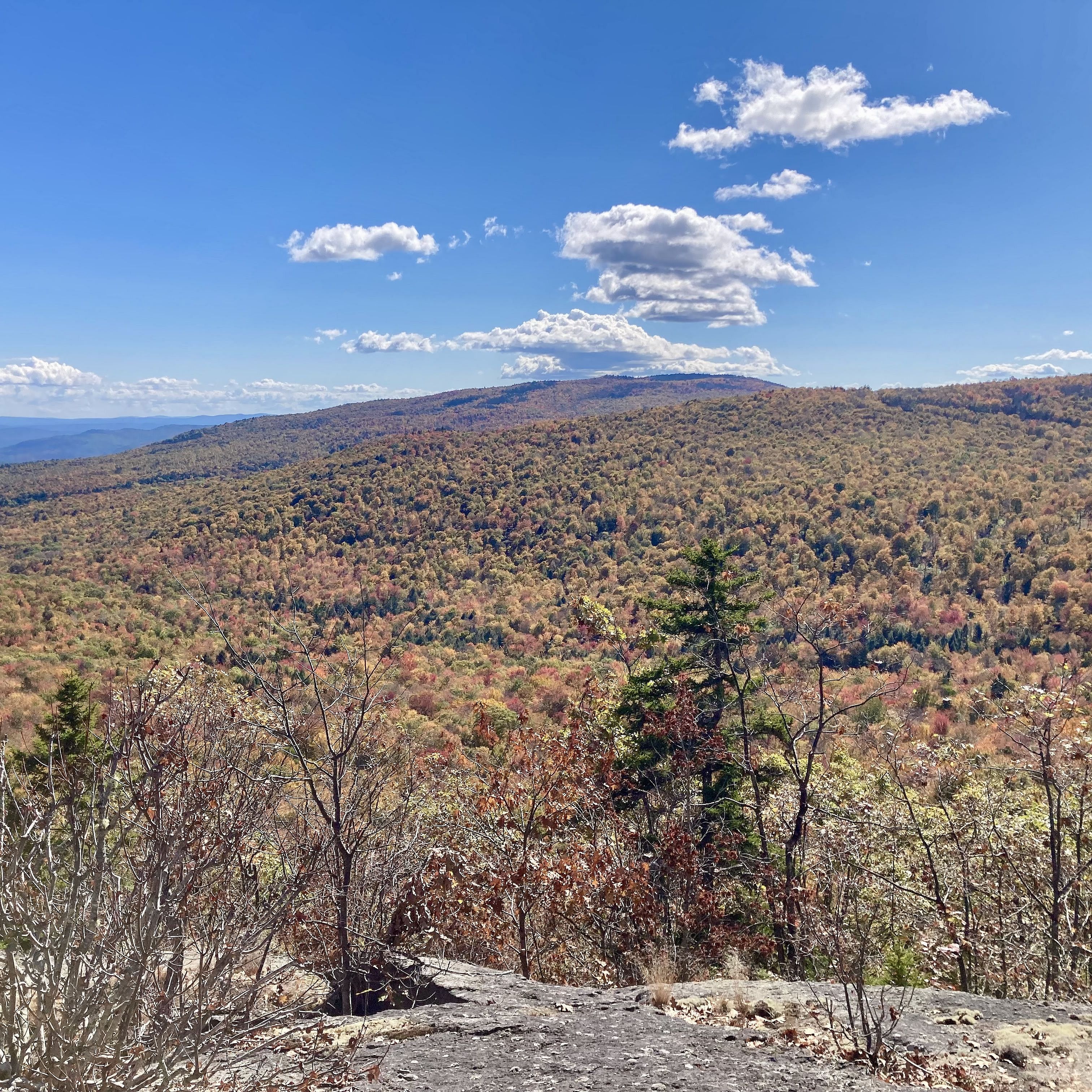 View from the top of Bear Ledge Loop