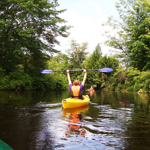 Kayaker holding paddle above head