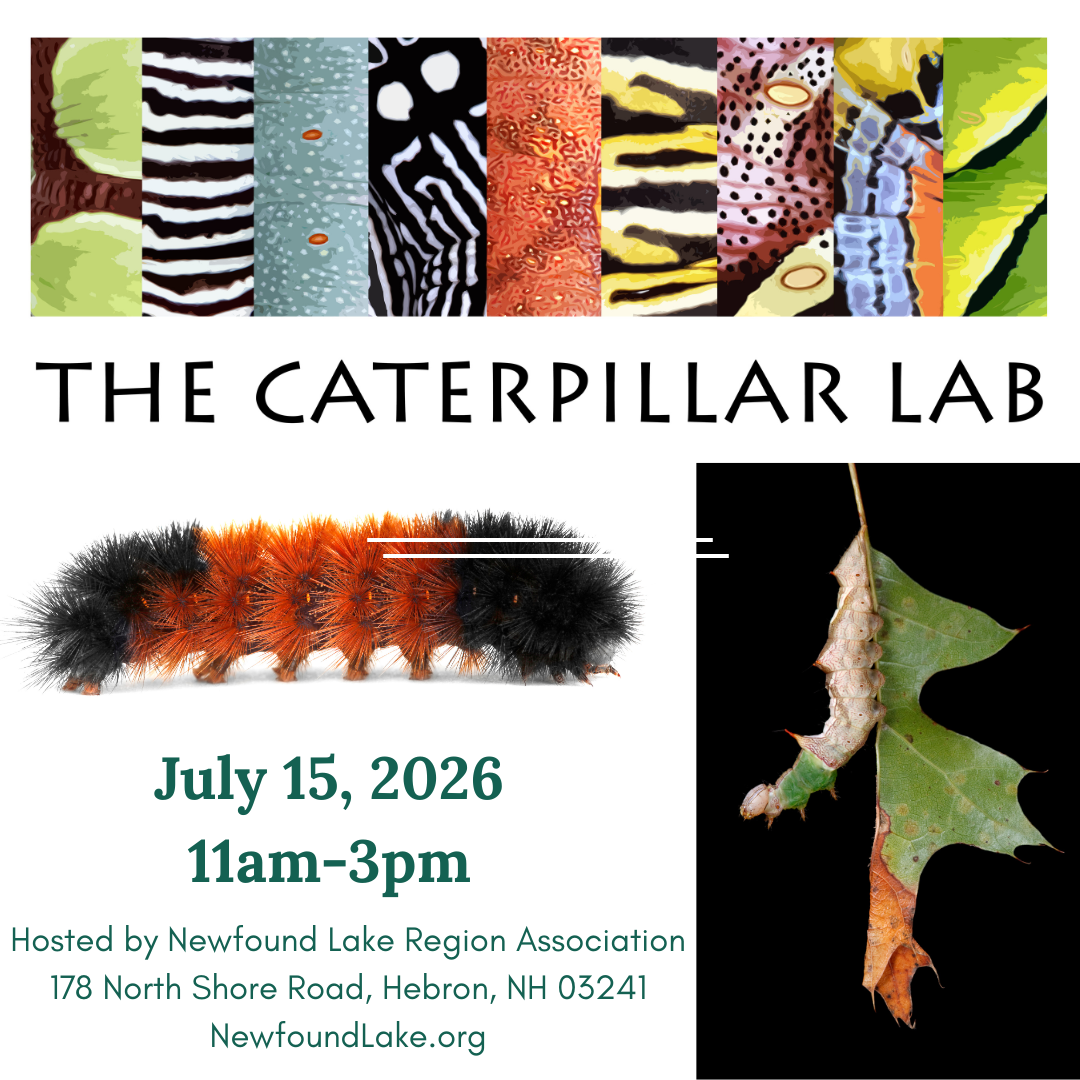 The Caterpillar Lab event flyer