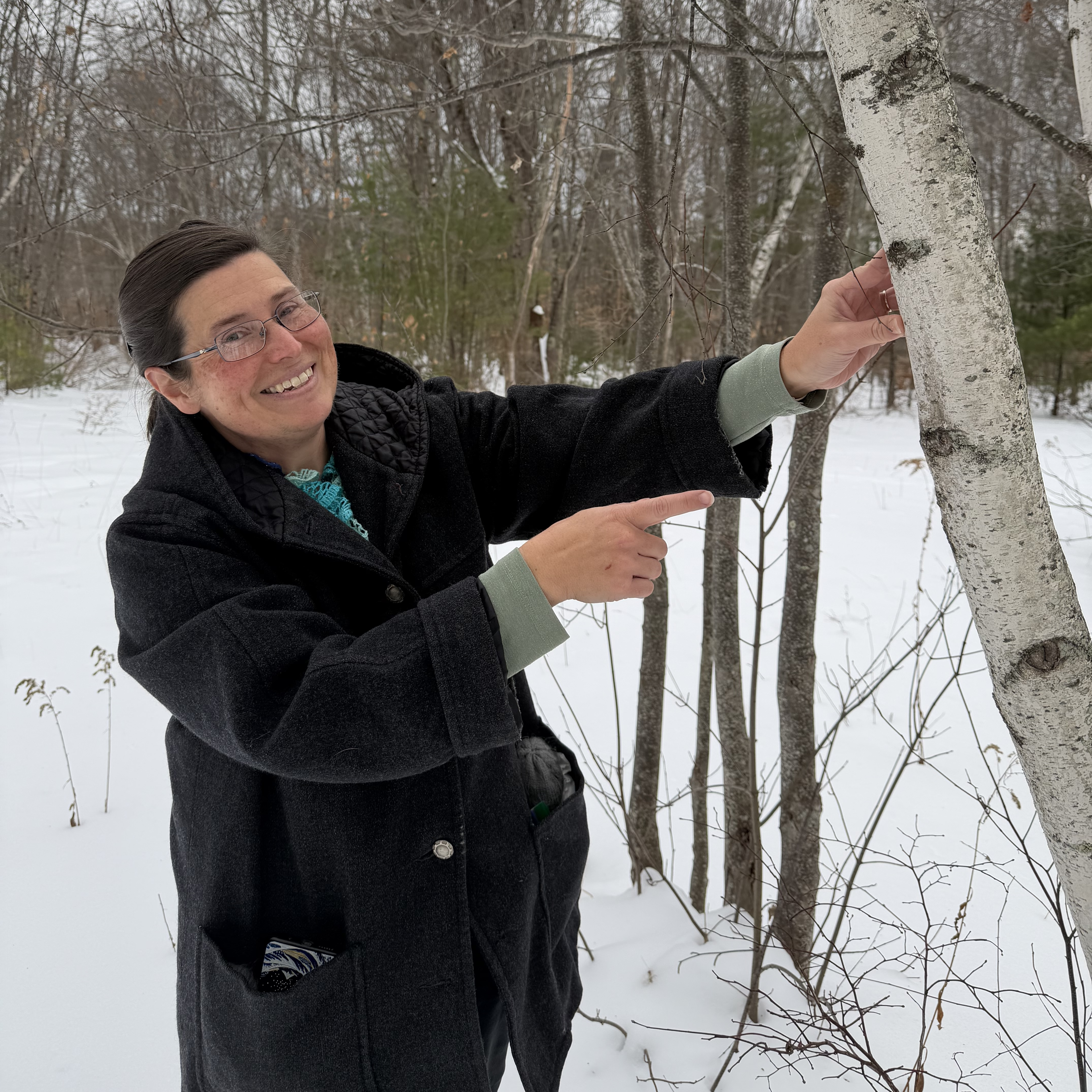A naturalist shows the importance of birch bark